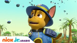 دوريات المخلاب | دوريات المخلاب وإنقاذ حشرة | Nick Jr. Arabia