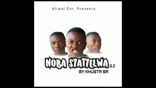 Noba Syatyelwa 3.0
