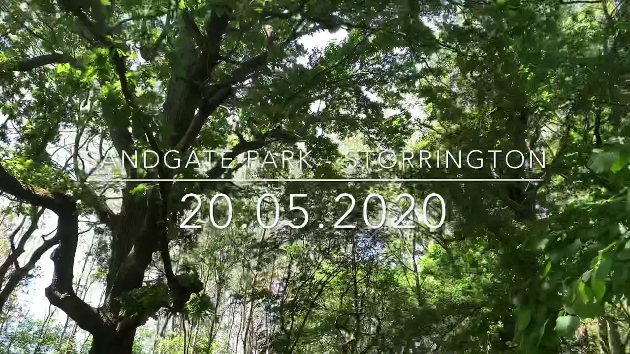 Sandgate Park Storrington JENNIANDJONNYTALKPARENTING YouTube