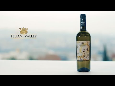 ღვინისა და კერძის შეხამება - Teliani Valley ეძიე და მოყევი ღვინოს