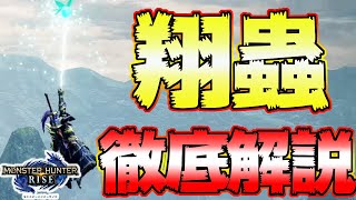 Monster Hunter Rise] Essential Techniques! This is the shortcut to