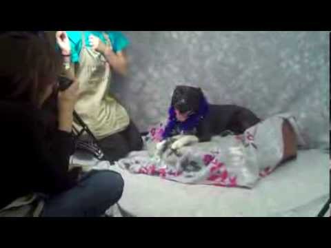 Pet Portraits At Feeders Supply April 5 Youtube