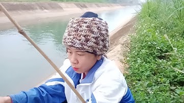 Câu Lure Cá Hanh (Tráp) 1,2Kg với con mồi 110SF