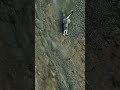 坠下悬崖 看雪豹猎捕羚羊 跟着图尔去旅行 坠下悬崖 看雪豹猎捕羚羊 跟着图尔去旅行