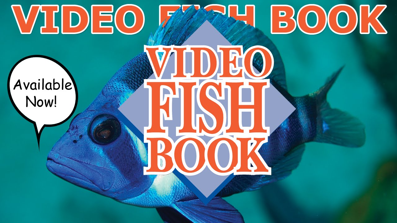 Video Fish Book (Narrated by David Attenborough) Trailer