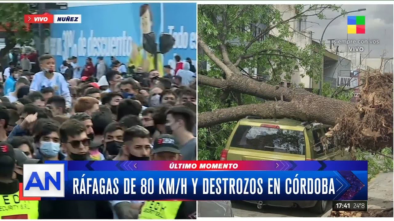 Cortes de luz y destrozos en Córdoba: árboles caídos y techos volados ...
