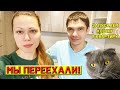 Мы переехали! Запускаем кошку в новую квартиру!