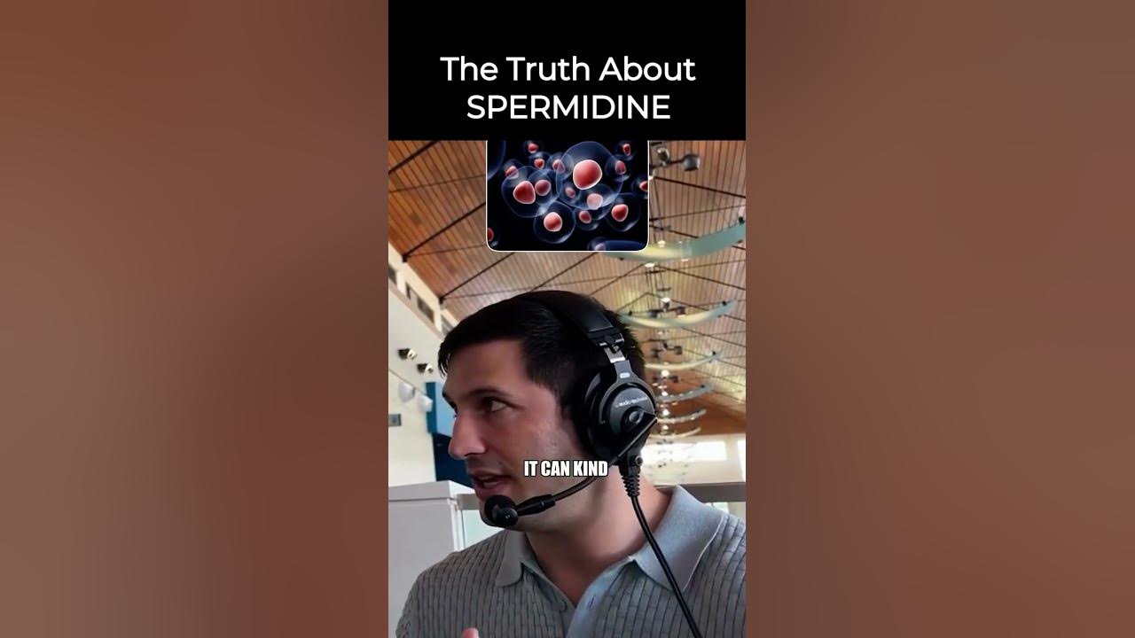 Spermidine anti aging benefits what does it do for the body how does