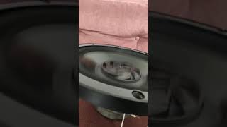 Pioneer 305F 30 Cm Subwoofer