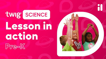Twig Science in Action | Pre-K