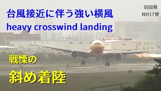 【戦慄】台風横風斜め着陸&ゴーアラウンド@伊丹 crosswind landing go-around