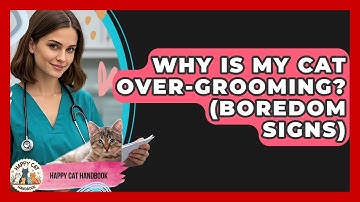 Why Is My Cat Over-Grooming? (Boredom Signs) - Happy Cat Handbook