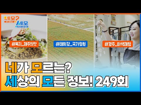 [네모세모] 249회 Full ver. 육지에서 즐기는 제주의 맛 l 태화강 국가정원 l 경주 이색 체험