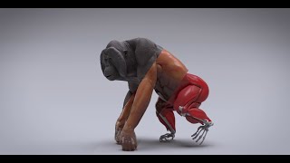 CFX Reel 2024
