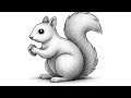 How to Draw a Cute Squirrel Holding Nut Realistic Pencil Drawing Tutorial 