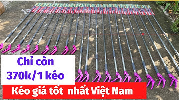 [ hàng về giá mới ] 2 mẫu kéo cắt cành trên cao chuyên dụng hái quả mà ko cần trèo cây