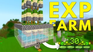 EASY XP Farm For Minecraft Bedrock 1.20.12 || Cactus Farm || PE, PS4, Xbox, Switch, Windows 10