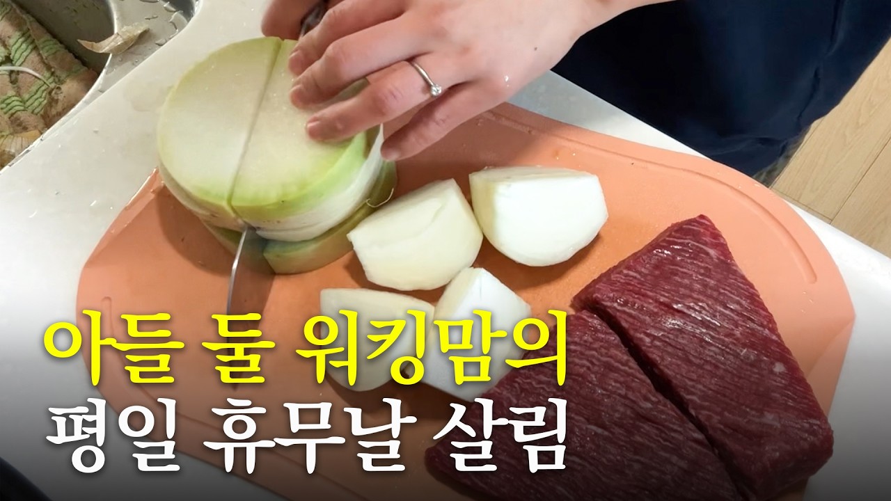 워킹맘 평일 휴무 살림 브이로그 | 밀린 살림 같이 해요