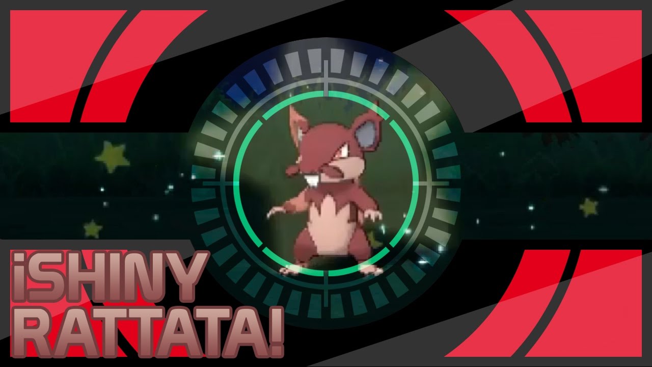 Shin Rattata ¡Shiny Rattata! Reacción en vivo - YouTube