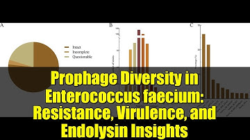 Prophage Diversity in Enterococcus faecium: Resistance, Virulence, and Endolysin Insights