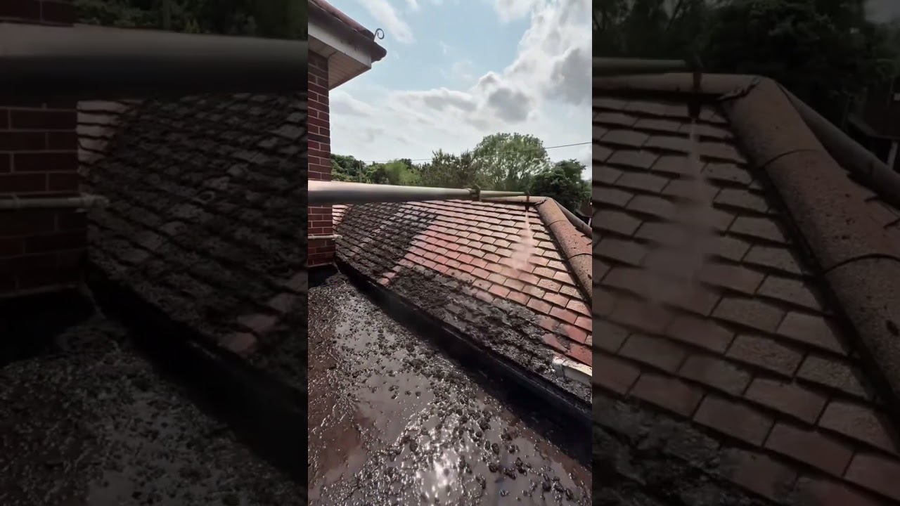 Cleaning the dirty roof of the house  