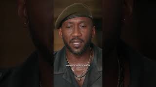 On The Set Of Juric World Rebirth Juric World Rebirth