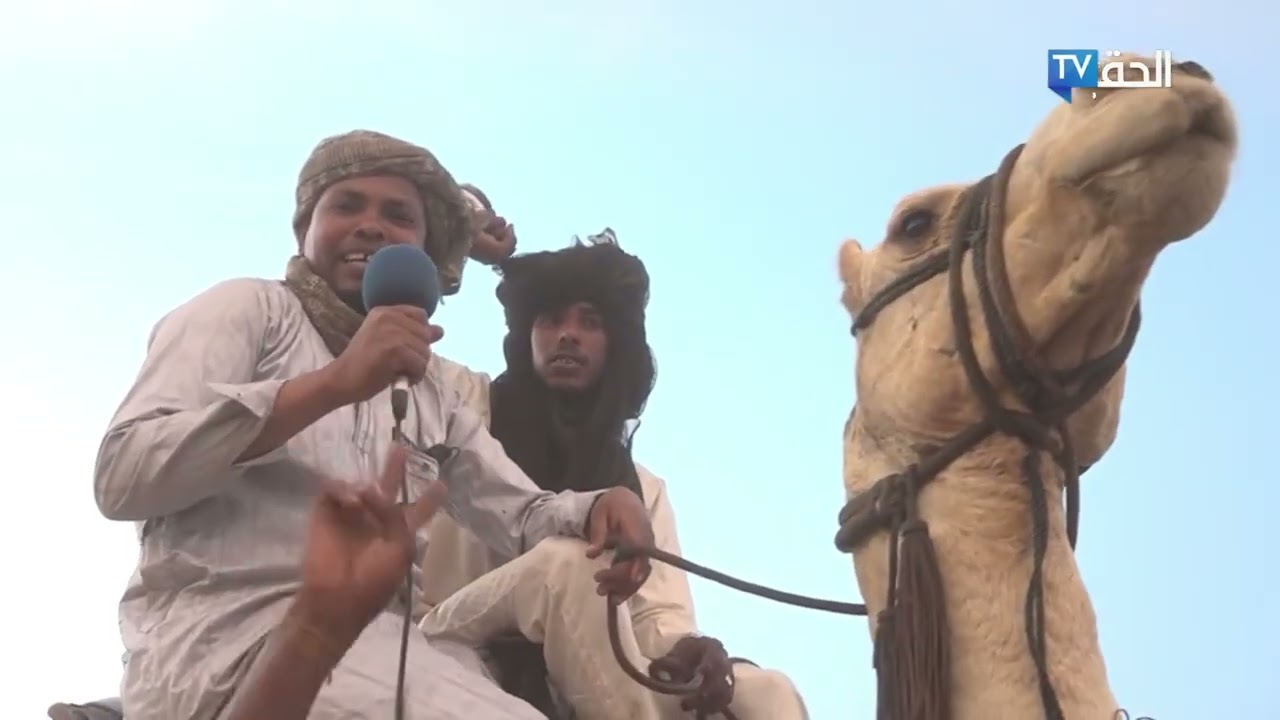 الجنينة تحتفي بالفروسية .. تدشين الموسم الرياضي لسباق الخيل وسط حضور جماهيري كبير.