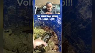 The Best Frog Sounds Ever Recorded!