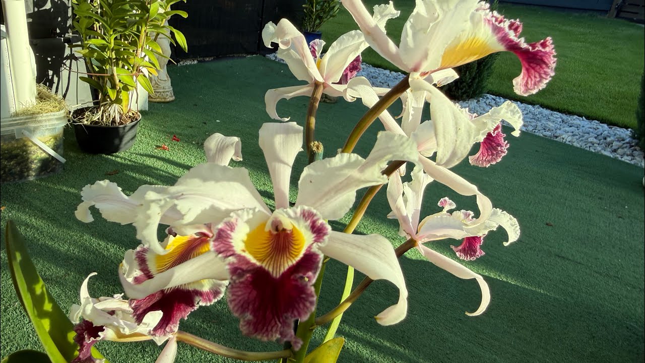 Коллекция пополнилась💚