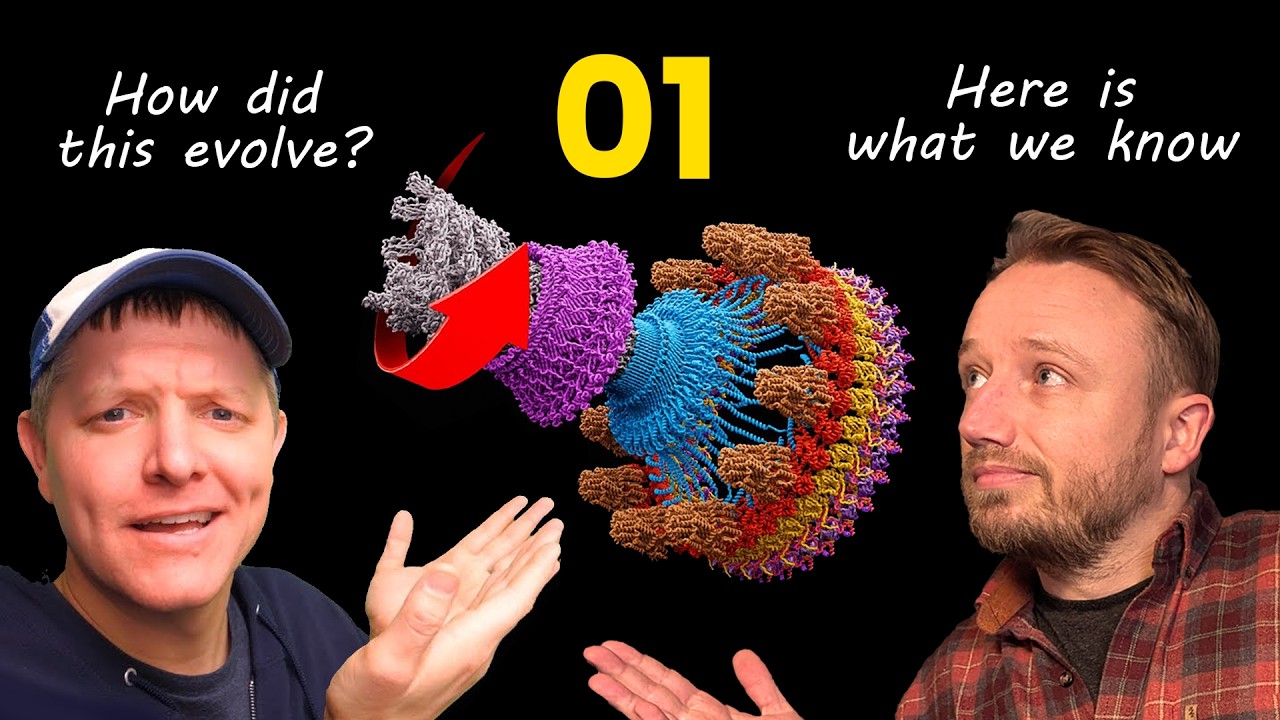 How did bacterial flagella evolve? 01: Here's what we know
