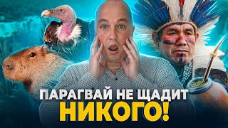 😱 Парагвай не щадит никого! Как иммиграция меняет человека?