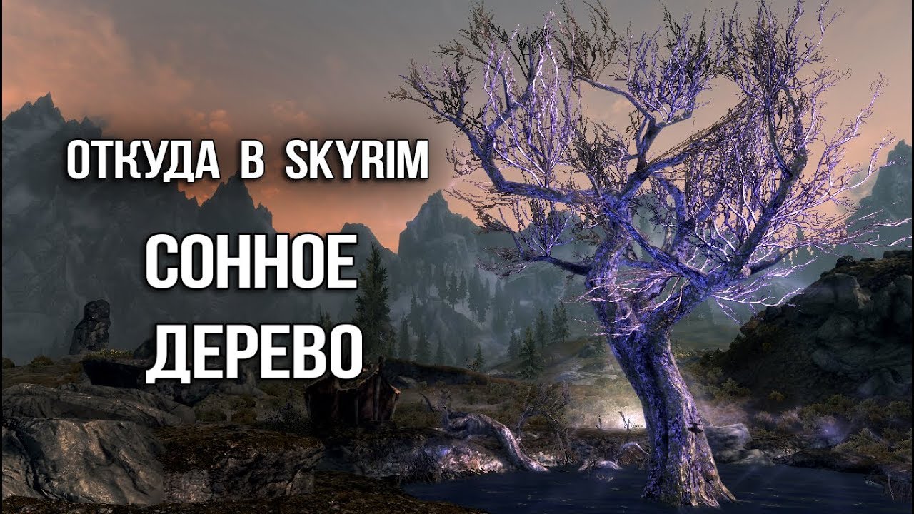 Skyrim: СЕКРЕТ СОННОГО ДЕРЕВА и УНИКАЛЬНЫЙ ЭЛИКСИР - ЛОР TES
