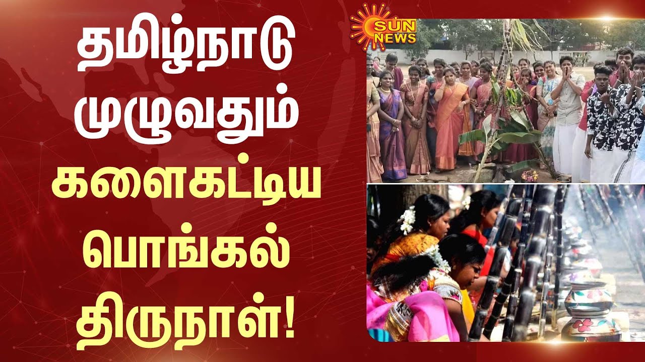 Celebration | Pongal Festival | Pongal Vibe | Thanjavur | Tamil Nadu | Various Places