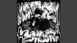 MONTAGEM PEGADORA (TikTok Version)