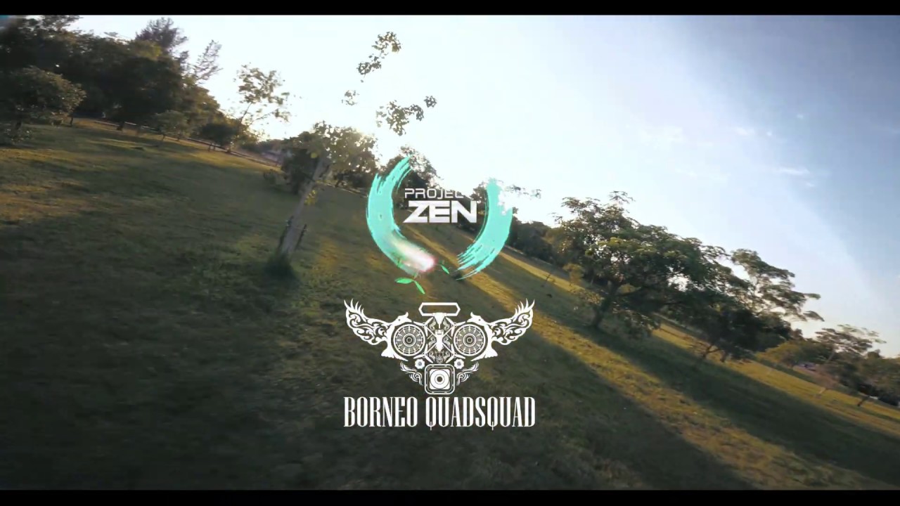 F P V L Y F E 💯 | FPV Freestyle