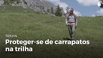 O que é bom para evitar carrapatos?