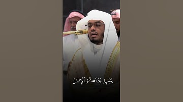 سورة الفجر - تلاوة للقارئ الشيخ ياسر الدوسري