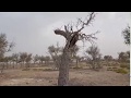 طريقة روحنة الزئبق 172 الجزء الخامس 0096899778597