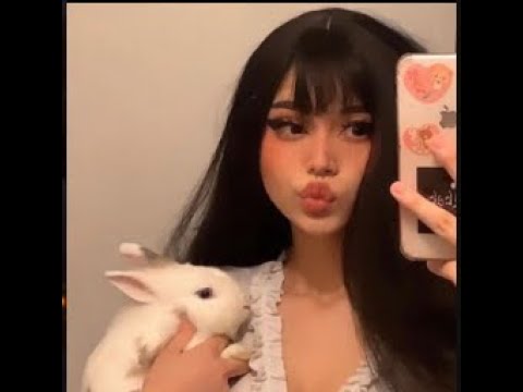 🐇🐇 bunny girl