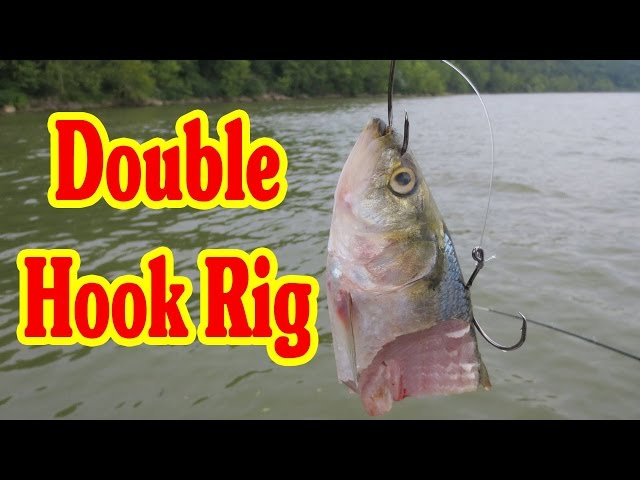 How to tie a double hook rig - Using a Double hook rig to catch