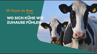 Royal De Boer Staleinrichtingen Unternehmenspräsentation