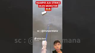Masa cuman pakai umpan kecil dapat ikan monster guys 😱⁉️ #mancing #ikan #shorts
