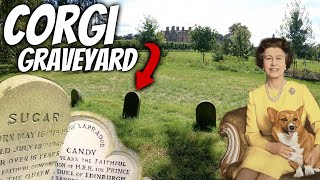 The Queen's Corgi Graveyard