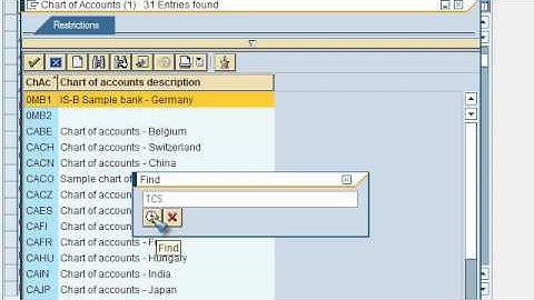 SAP FICO VIDEO TRAINING TUTORIALS 0006 ASSIGN COM CODE TO COA ECC6 - BAYISETTI