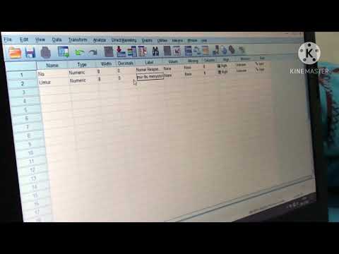 Cara Memasukan Data Ke Dalam Spss Part I Youtube