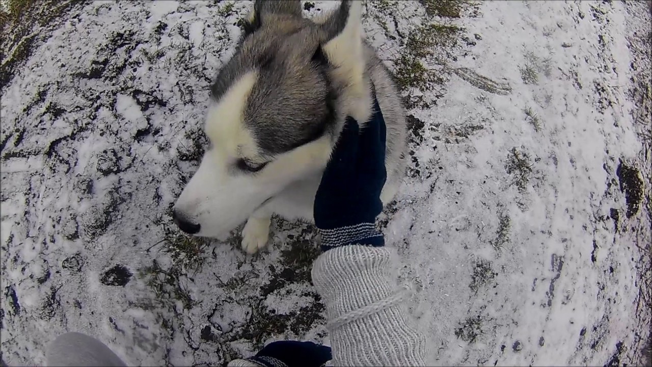 Prvni vanoce se Samem