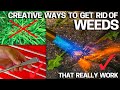 Dig or Burn Weeds - Tips to make it EASY