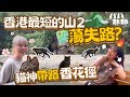 香港最短的山 2｜貓神坐陣北角香花徑｜15分鐘路程都蕩失路？！｜八八卦卦Upwhattoday