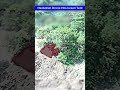Hezbollah Drone Takes Out Israeli Military Tent