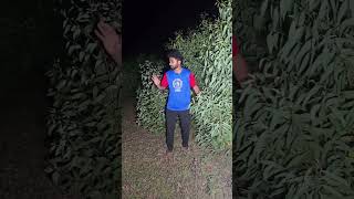 SRH VS DC MATCH REVIEW TROLL VIDEO #ipl2026 #cricket #ipl